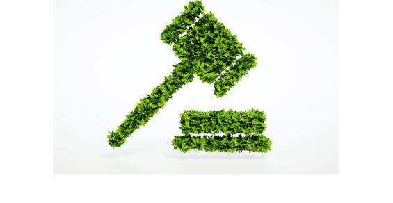 Event Trend: Sustainability with Teeth